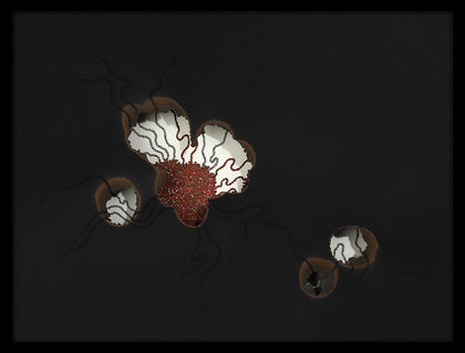 Micropia 13, Sukanya Garg, Myth, Memory, Meaning - Artisera