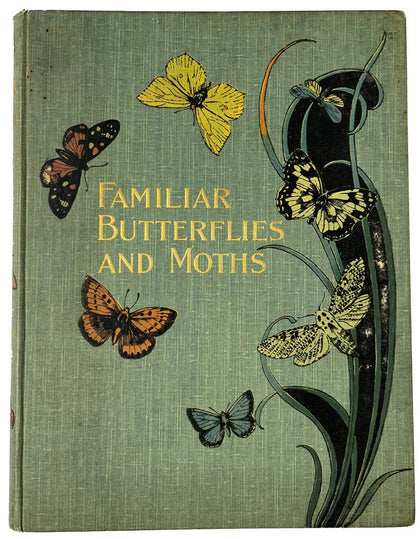 Familiar Butterflies and Moths; First Ed., , Antiquarian Books - Artisera