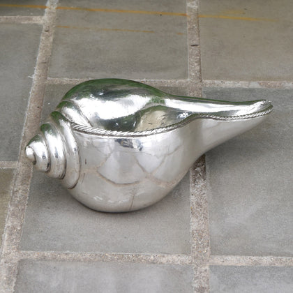 Conch Shell, , Silver Showpieces - Artisera