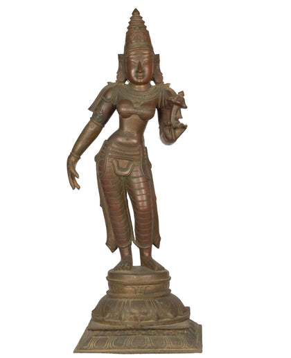Parvati, , Lost Wax Bronze Sculptures - Artisera