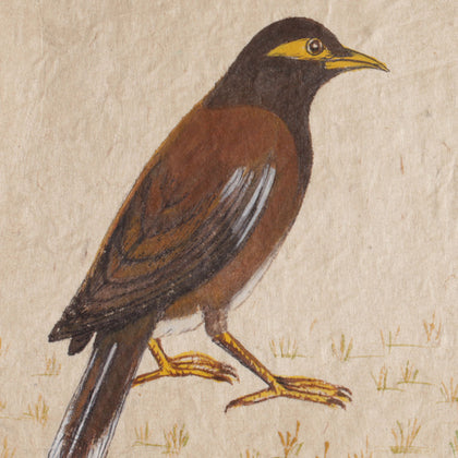 Bird Series - IV, Sabia Khan, Vernssage - Artisera