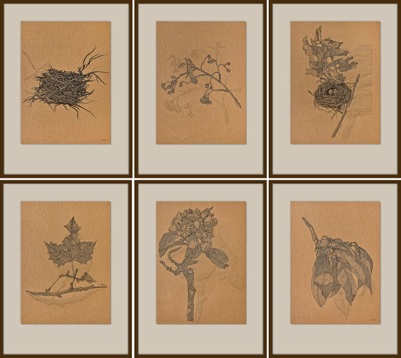 Elements of Nature, Ashu Gupta, Constructed Stillness - Artisera