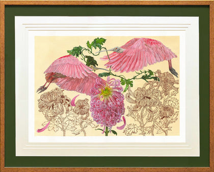 Roseatte Spoonbills in a Field of Pink Chrysanthemums