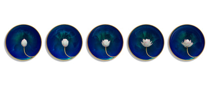 Utpatti - The Bloom 2, Sangeeta Abhay, Constructed Stillness - Artisera