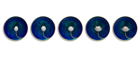 Utpatti - The Bloom 2, Sangeeta Abhay, Constructed Stillness - Artisera