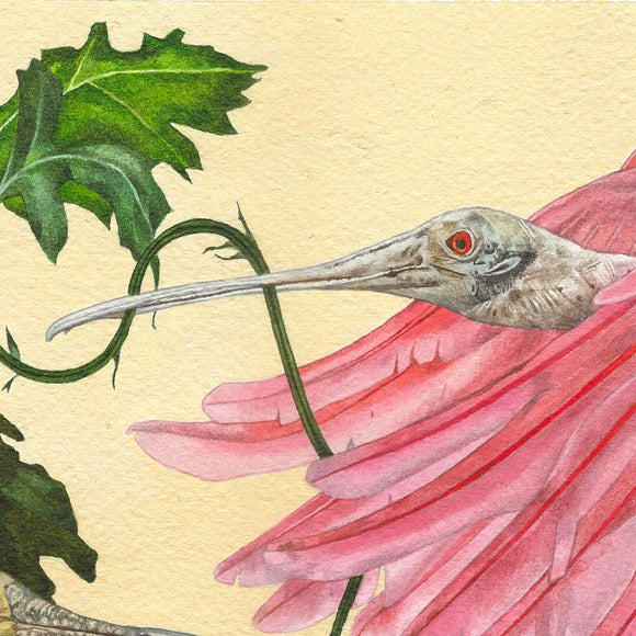 Roseatte Spoonbills in a Field of Pink Chrysanthemums, Anisha Koshy, Here, Together - Artisera