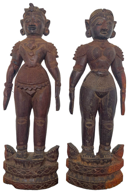 Marapachi Dolls (Pair) - 02, , Balaji's Antiques and Collectibles - Artisera