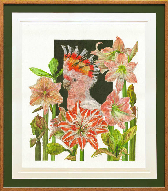 Portrait of Pink Cockatoo with Amaryllis, Anisha Koshy, Here, Together - Artisera