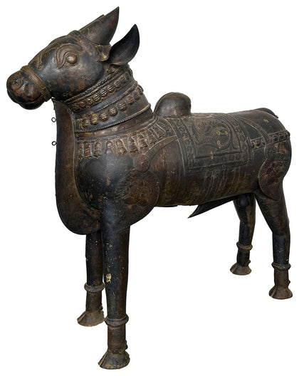 Large Nandi, , Balaji's Antiques and Collectibles - Artisera