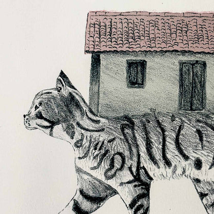 Cat House