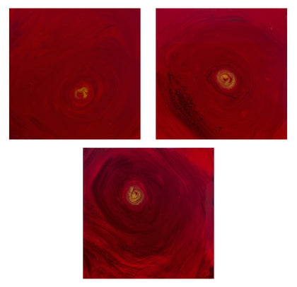 Depth of Red (Set of 3), Abhigna Kedia, Internal - Artisera