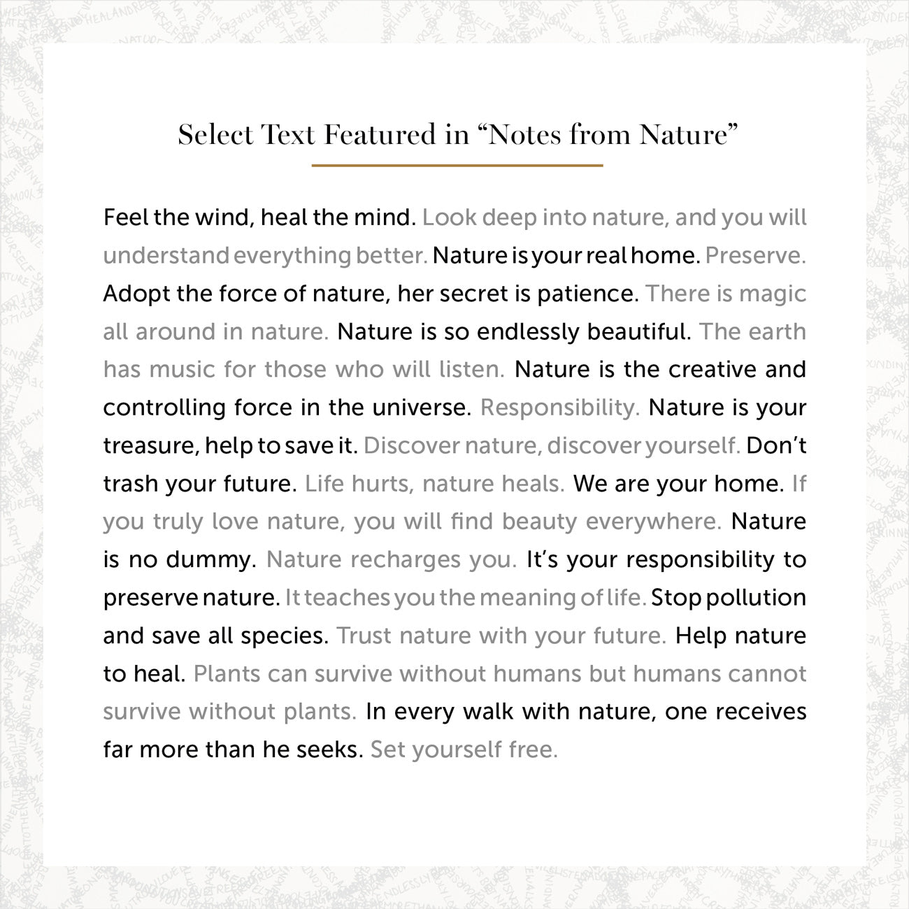 Notes From Nature Notes from Nature – Artisera