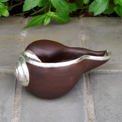 Semi Clad Conch Shell, , Silver Showpieces - Artisera