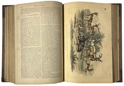 A History of the Earth and Animated Nature, Vol. 1 and 2; 1866, , Antiquarian Books - Artisera