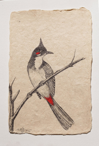 Bird Series - I, Sabia Khan, Vernssage - Artisera