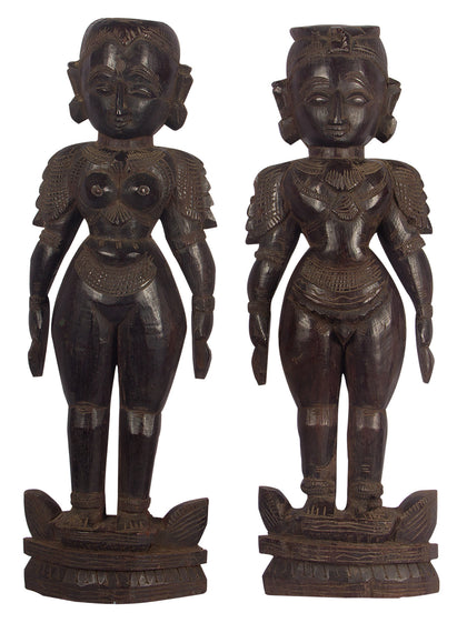 Marapachi Dolls (Pair), , Balaji's Antiques and Collectibles - Artisera
